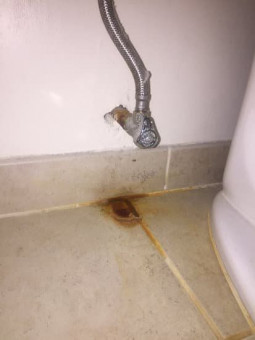 A plumbing gap and a leaky pipe will result in a draughty house and a waste of water