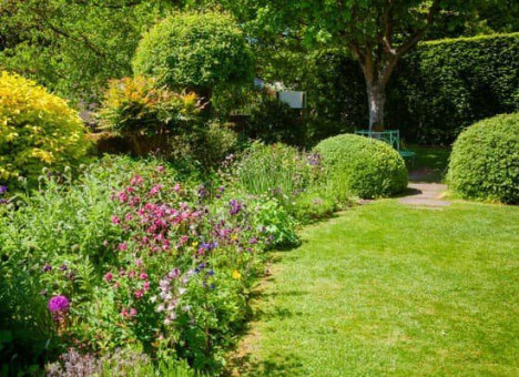 Trees and hedges provide benefits to all