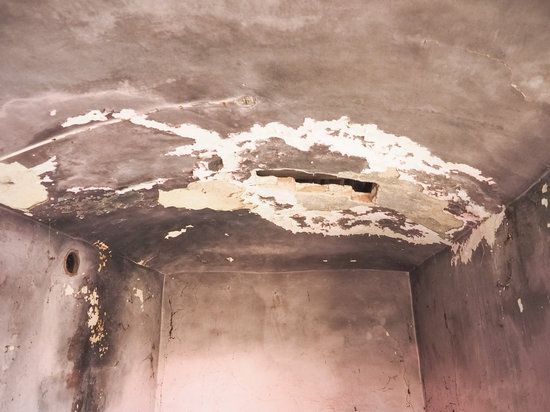 Treat damp early to avoid possible health issues and structural damage to your home
