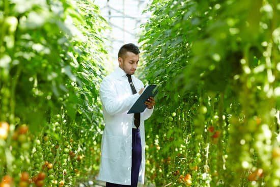 Unseasonal popular foods are commonly grown in heated greenhouses or hothouses as they are sometimes known