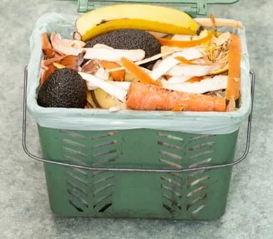 Keep waste food in a food caddy bin prior to composting by your local council