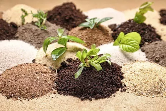 Knowing the soil type in your garden will help decide which plants are best