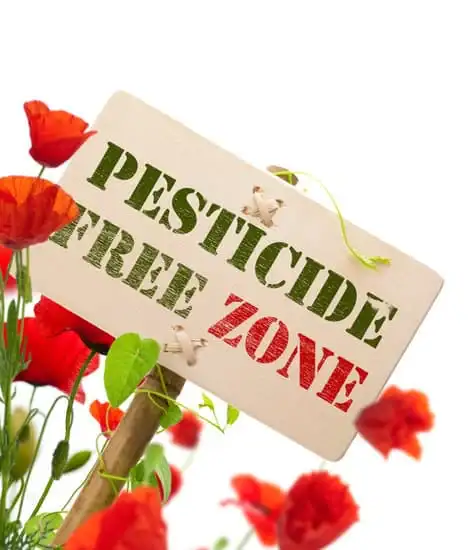 Pesticides are a risk to the environment and should be avoided if possible