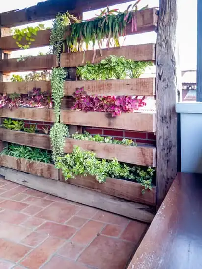 With little space a vertical garden can be a good option
